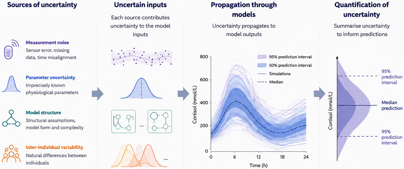 Scientific schematic illustrating uncertainty and variability in mathematical biomedicine